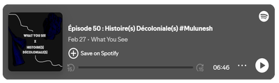 Podcast - What you see - Épisode 50 : Histoire(s) Décoloniale(s) #Mulunesh